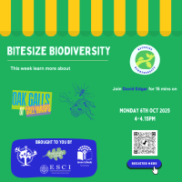 25LC 10 062 ESCI - Bitesize Biodiversity Primary and Post-Primary CSPE, Science, SPHE, Transition Year 