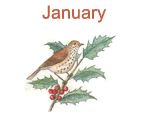 January